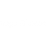 Sage Glasses - In-store Demo